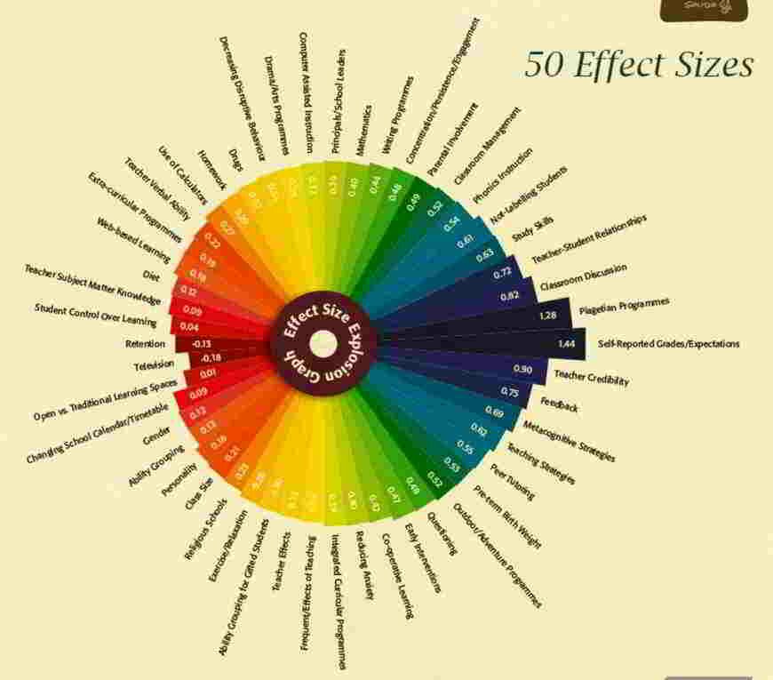 A snipped detail of the Visible Learning Infographic