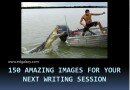 150 Amazing Pictures