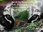 Endangered Animals 4-9