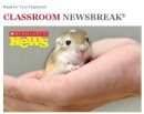 News for your classroom