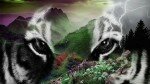 Tracking the Tiger Trade