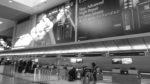 Travelling 2 - At the Airport B/W