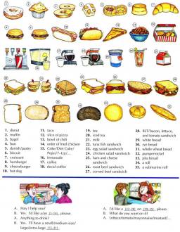 Fast food and sandwiches English lesson