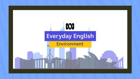 Everyday English: The Environment - YouTube