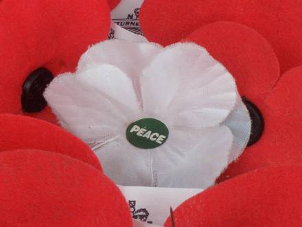 Remembrance Day 2018: Why do some people wear a white poppy? | The Independent