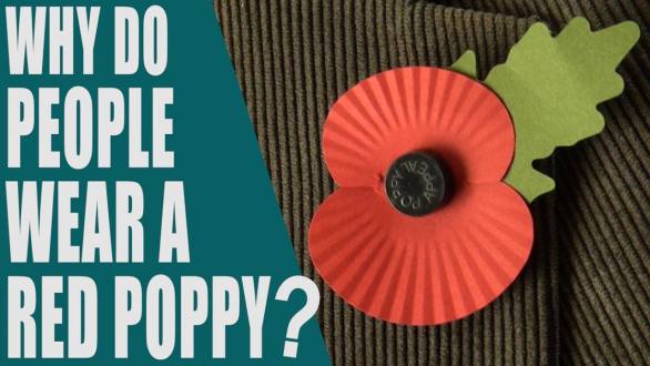 Why do people wear a red poppy? What is Poppy Day? Remembrance Day - English Topic - YouTube