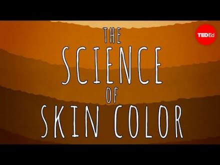 The science of skin color - Angela Koine Flynn | TED-Ed