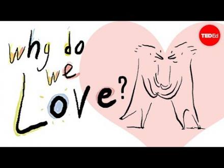 Why do we love? A philosophical inquiry - Skye C. Cleary | TED-Ed