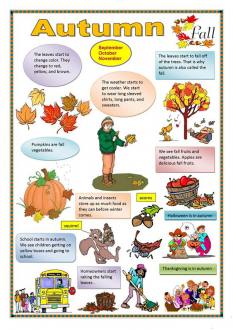 Autumn worksheet - Free ESL printable worksheets made by teachers