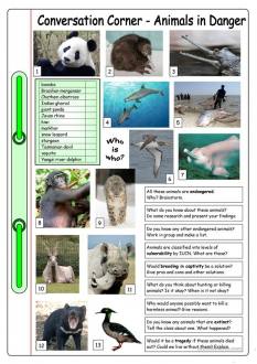 Conversation Corner: Animals in Danger worksheet - Free ESL printable worksheets made by teachers