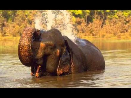 Kamahl ~ The Elephant Song - YouTube