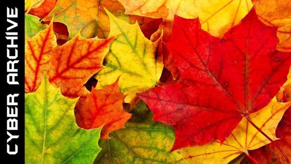 15 Interesting Facts About Autumn - YouTube