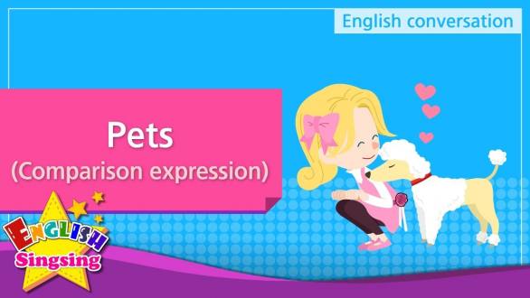 19. Pets - Comparison expression - Educational video for Kids - YouTube