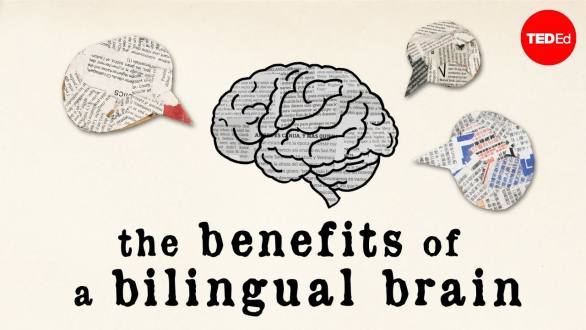 The benefits of a bilingual brain - Mia Nacamulli - YouTube