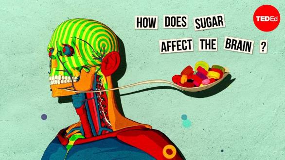 How sugar affects the brain - Nicole Avena - YouTube