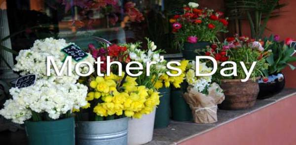 ESL Mother's Day Lesson, Worksheets, Crossword Puzzle