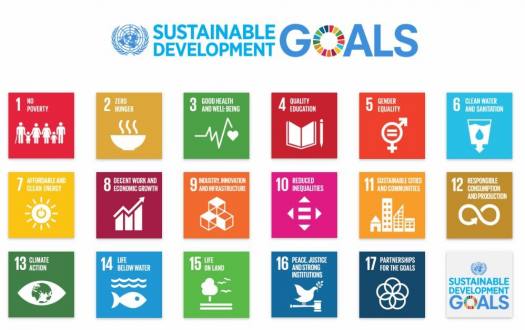 Sustainable Development Goals | UNDP