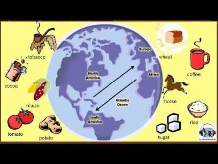 Columbus Day, Indigenous Peoples Day, and the Columbian Exchange - YouTube