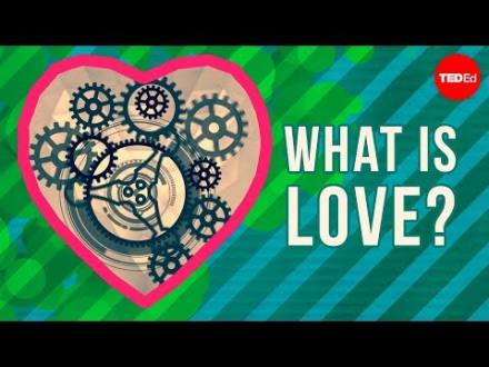 What is love? - Brad Troeger | TED-Ed