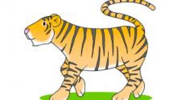 Wild animals | LearnEnglish Kids - British Council