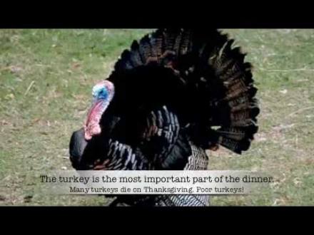 Thanksgiving - YouTube