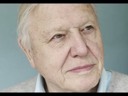 Sir David Attenborough: 'Climate change dangers worse than we thought' - YouTube