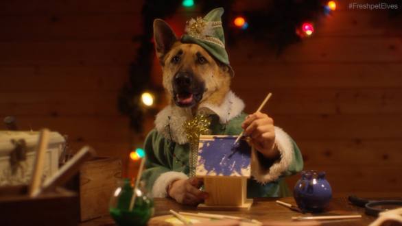 Santa's Elves - Dogs and Cats with Human Hands Making Toys - Freshpet - YouTube