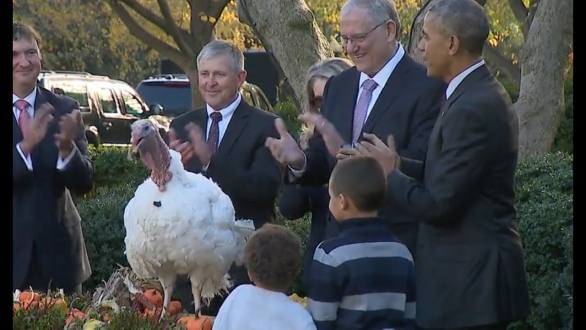 Obama Jokes At His Final Thanksgiving Turkey Pardon - YouTube