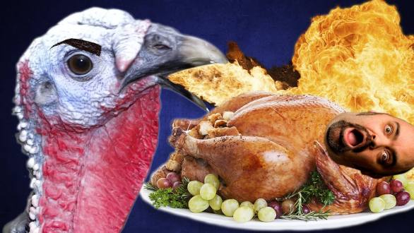 11 Turkeys Who Won’t Get Eaten This Thanksgiving - YouTube