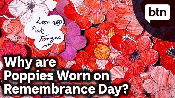 Why are Poppies Worn on Remembrance Day? - Behind the News - YouTube