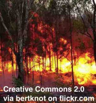 Sydney Bushfires - ESL Lesson Plan - Breaking News English Lesson