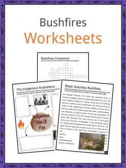 Bushfires Facts, Worksheets, Categories & Management For Kids