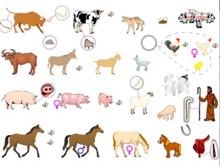 Farm Animals - English Vocabulary - LanguageGuide.org