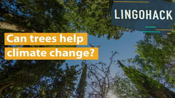 BBC Learning English - Lingohack / Can trees help climate change?