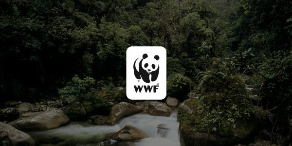 Species | Protecting Wildlife | World Wildlife Fund