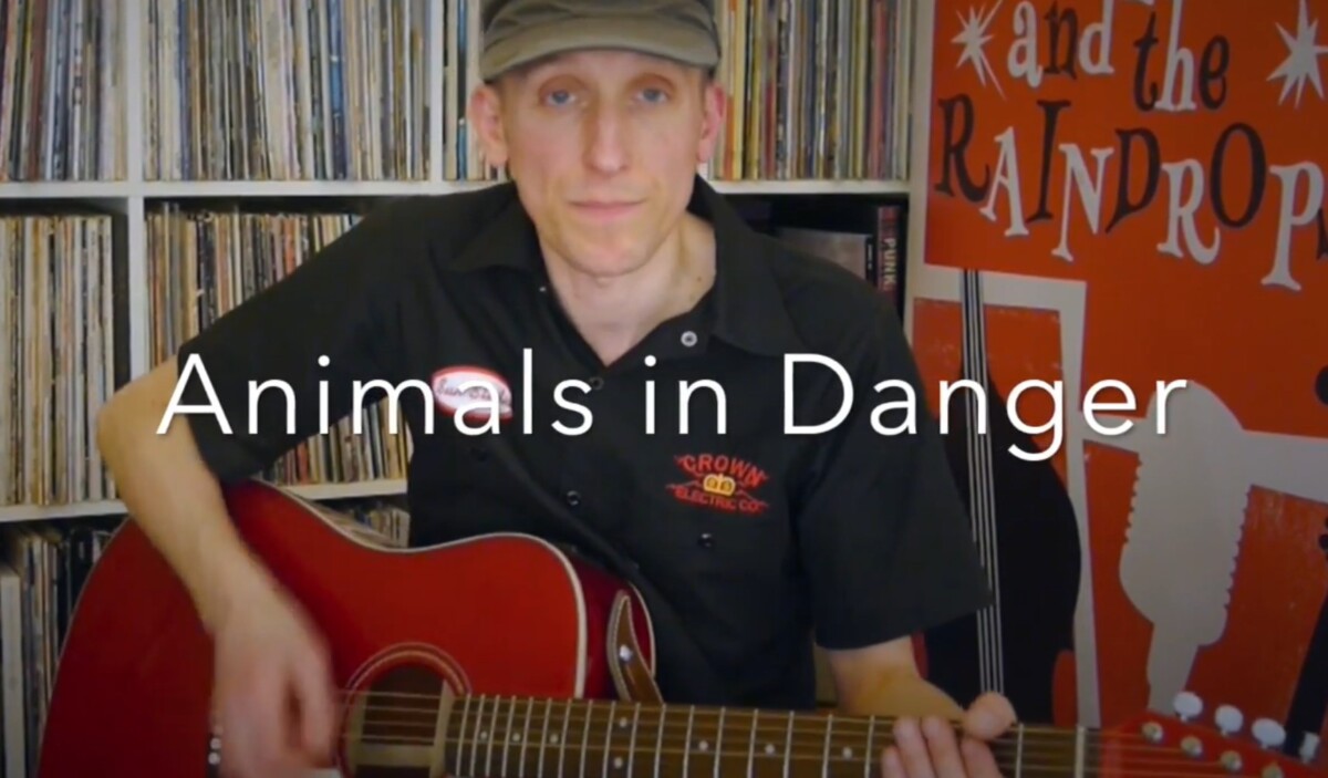 'Animals in danger' with lyrics | Johnny & the Raindrops - YouTube
