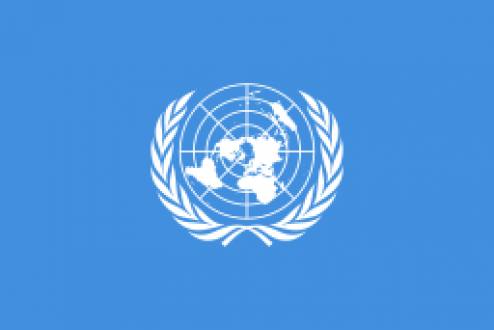 Organizations | United Nations