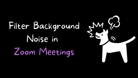 How to Filter Background Noise in Zoom Meetings - YouTube