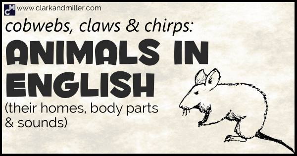 Animals in English (Plus Animal Body Parts and Sounds) | Clark and Miller