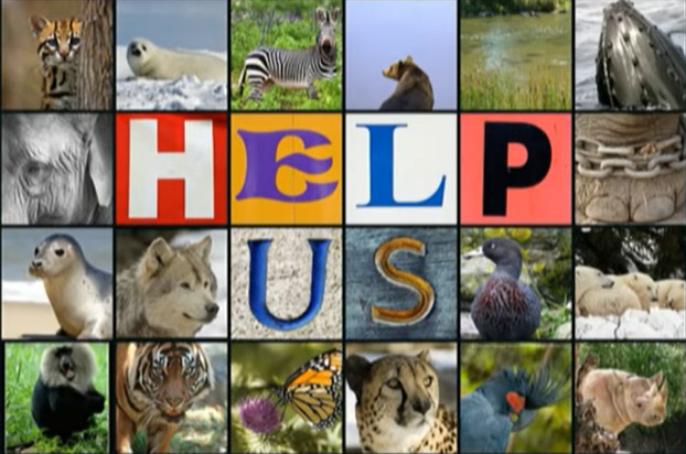 The Song of the Endangered Species - YouTube