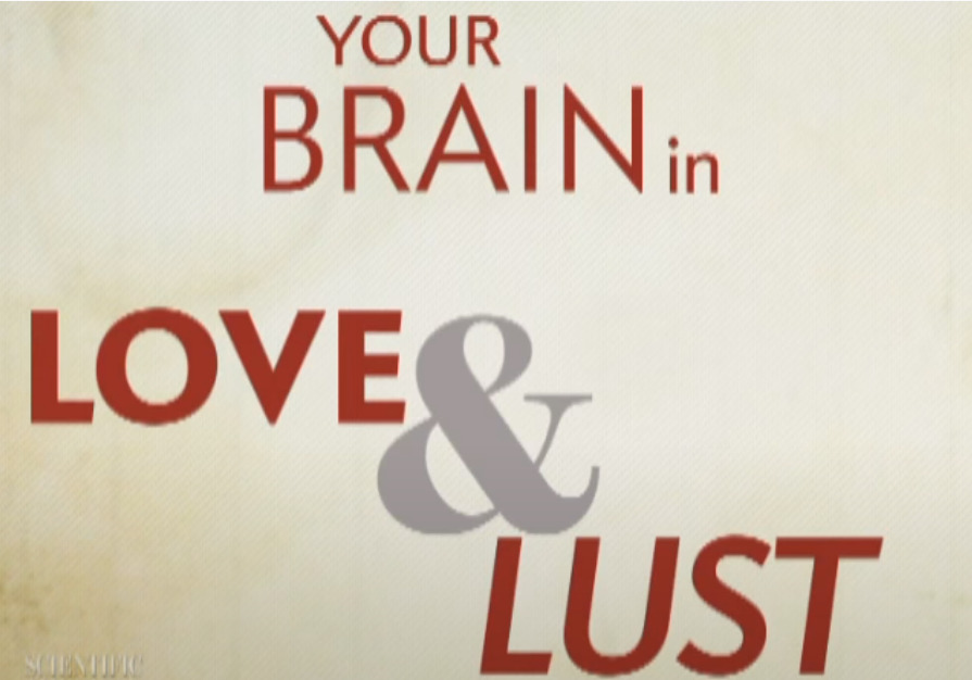 Your Brain in Love and Lust - by Scientific American - YouTube
