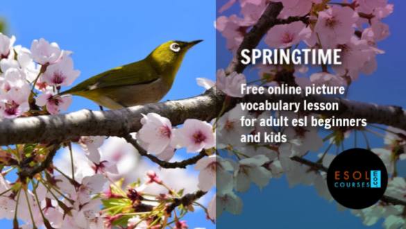 Spring - ESL Picture Vocabulary
