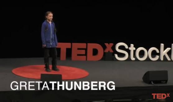 TED Talks – Greta Thunberg (2018): The disarming case to act right now on climate change – EFL Takeaways