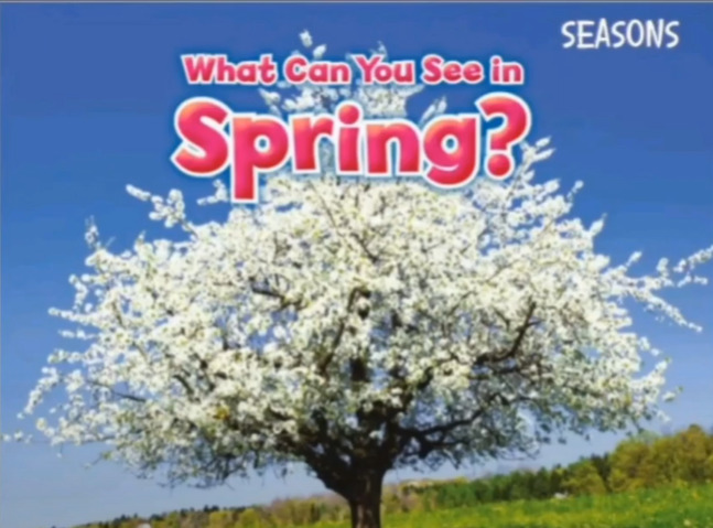 What can you see in Spring - YouTube