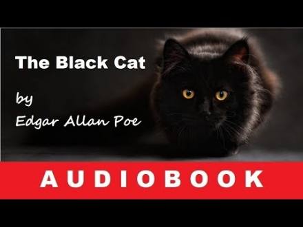 The Black Cat by Edgar Allan Poe - Audiobook - YouTube
