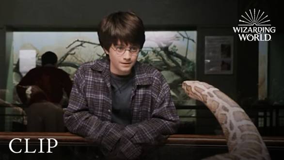 Harry and the Snake | Harry Potter and the Philosopher's Stone - YouTube