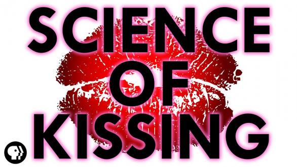 The Science of Kissing - YouTube
