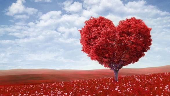 Love is in the air: Love and Relationship Expressions – Tim's Free English Lesson Plans