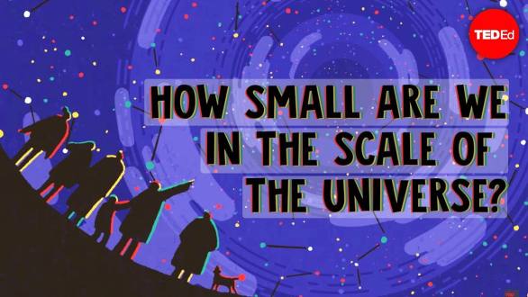 How small are we in the scale of the universe? - Alex Hofeldt - YouTube