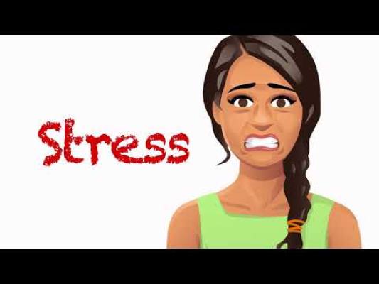 How Stress Affects the Brain - YouTube (1:52)